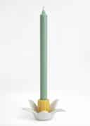 DAFFODIL CH - YELLOW