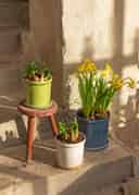 DARLA POT S - BEIGE