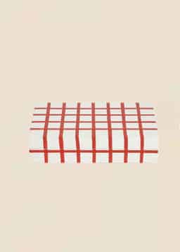 Kashmir box L - WHITERED