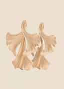 3 LEAF EARRINGS - MATTEGOLD