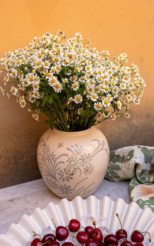 https://a.storyblok.com/f/301127/500x800/12c2f03133/1-vasarket.jpg