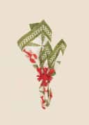 Crawfish Napkin s/2 - CREWFISH CREME