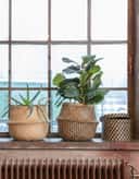 LOLLO BASKET - NATURAL