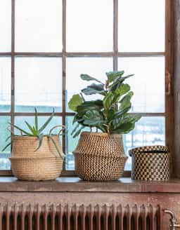 LOLLO BASKET - NATURAL