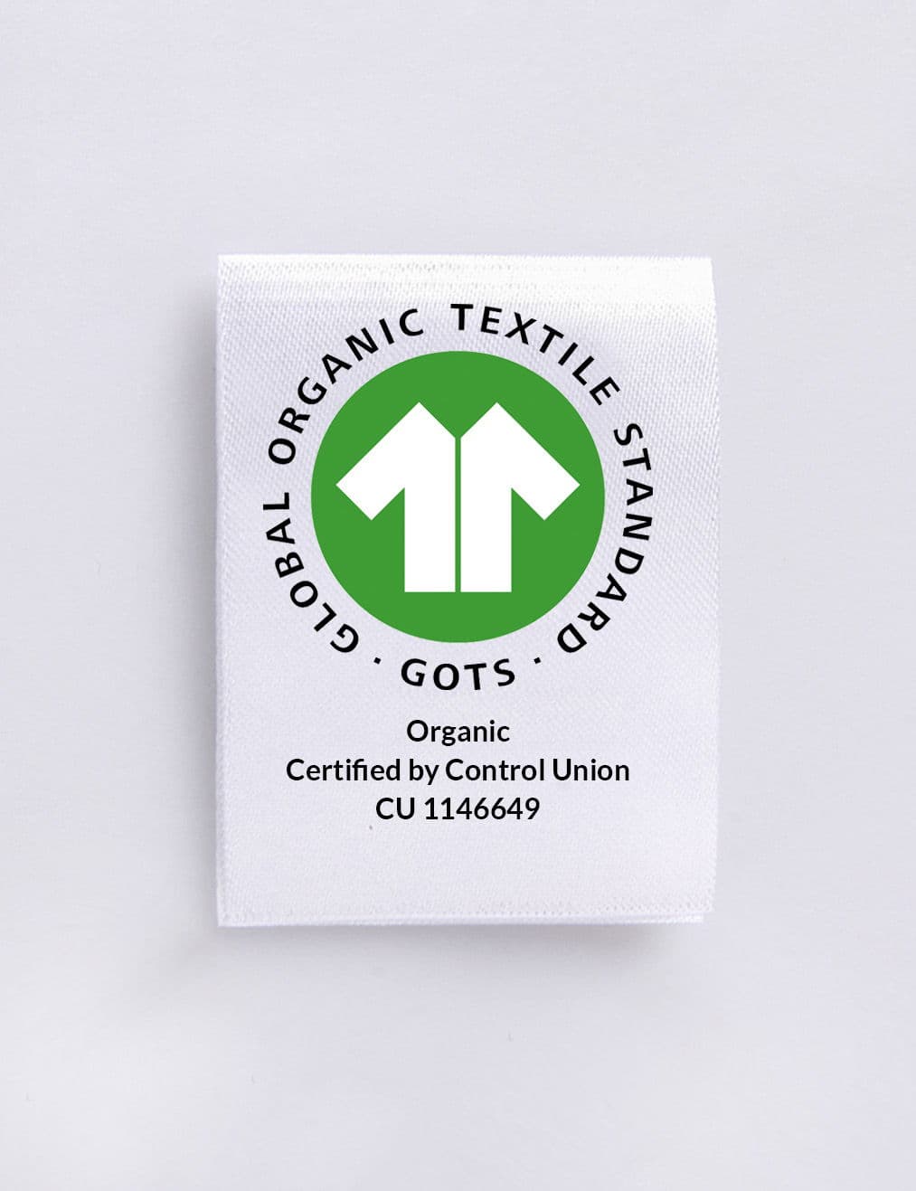 Tiny Gingham Napkin S/2 - BLUE