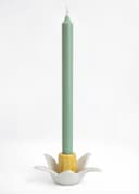 DAFFODIL CH - YELLOW