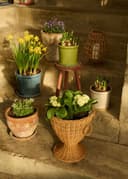 DARLA POT S - GREEN