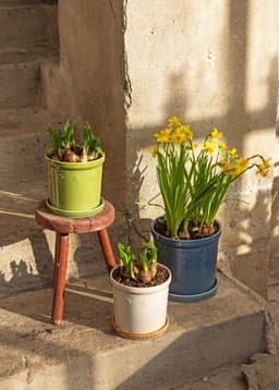 DARLA POT S - BEIGE
