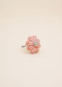 SCALLOP LOTUS KNOB - WHITE APPRICOT
