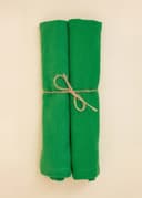 Fia Napkin S/2 - GREEN