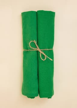 Fia Napkin S/2 - GREEN