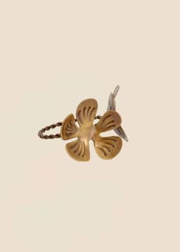 HANNA NR - BRASS