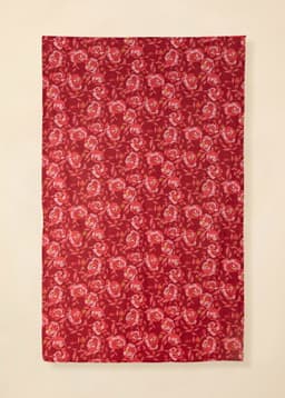 Tara Tc - LEFKARA CORAL