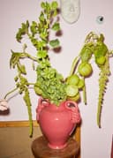 ANANT KNOT VASE - PINK