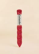 PLANT MARKER - Coriander