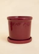 DARLA POT L - BURGUNDY