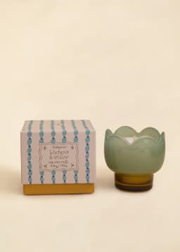 TULIP SCENTED CANDLE - BLUE WISTERIA WILLOW