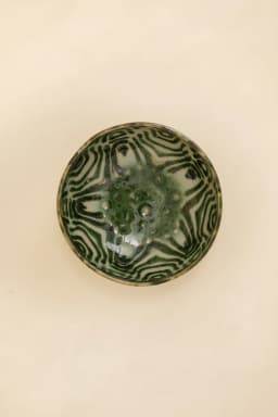 CALDAS POKE BOWL - GREEN