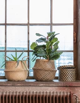 LOLLO BASKET - NATURAL