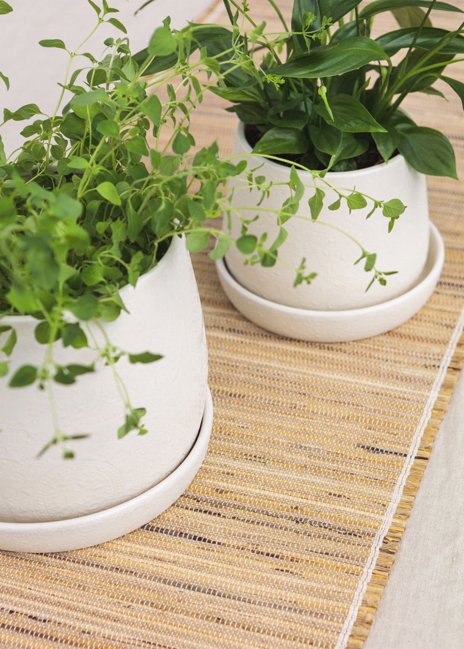 OHAS FLOWER POT S - CREME
