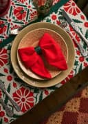 Fia Napkin S/2 - RED